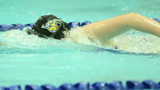 Swim Misc Teaser 2021-1