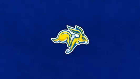 Running Rabbit Blue Back
