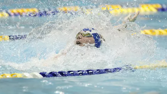 Carstensen Teaser 2023-01