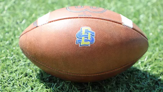 Football Stock Image 2022