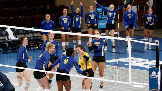 Volleyball team point celebration