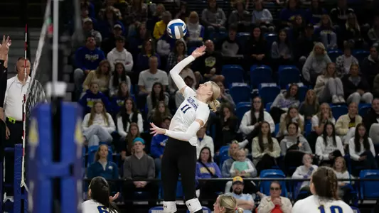 Sydni Schetnan