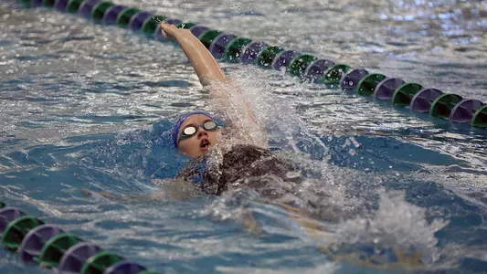 Women's Backstroke Teaser at Augie 2024-1