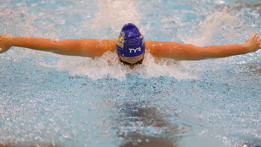 Women's Butterfly Teaser 2024-02