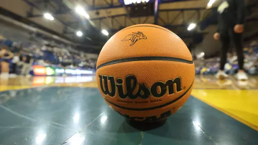 Women's basketball ball stock photo