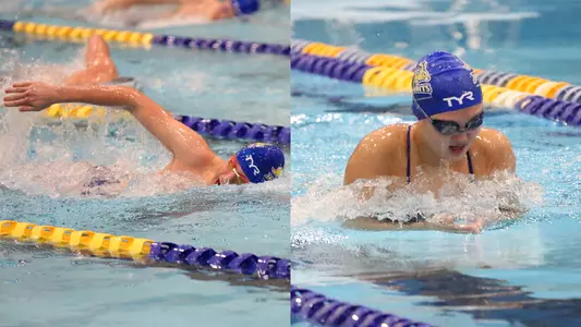 Swim Splice for 11-20-24 Preview