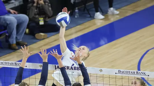 Annalee Ventling-Brown