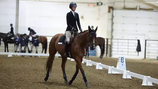 Hannah Steele Equestrian Flat Photo 2025-01