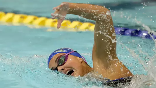 Renaud Freestyle Teaser 2026-01