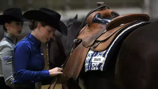 Equestrian Western Teaser 2026-04