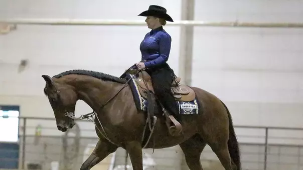 Brighton McBride Horsemanship Teaser 2026-02