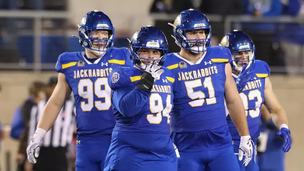 Defensive Line Teaser 2025-02