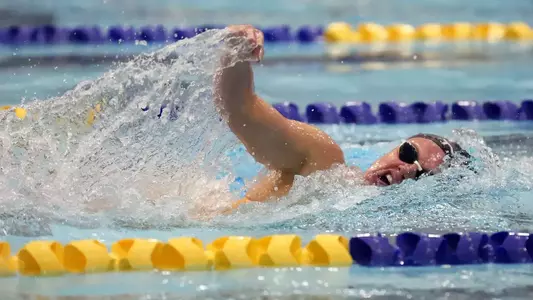 Poppy Mead Teaser 2026-01