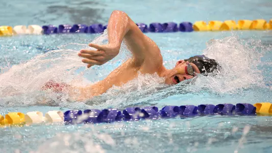 Luke Watkins Teaser 2026-01