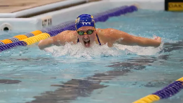 Currier Butterfly Teaser 2026-02