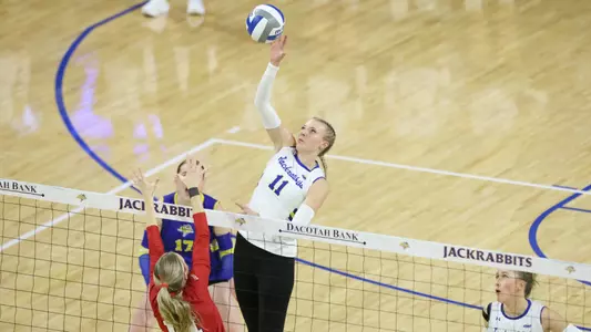Sydni Schetnan attacks a ball at the net during a volleyball match