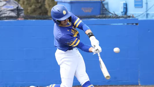 Carter Sintek Teaser 2025-05