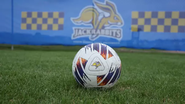 Soccer Ball - Wind Screen