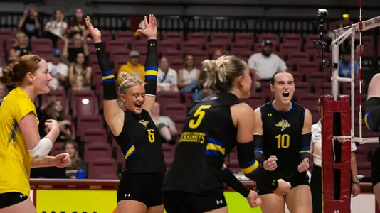 Volleyball celebration