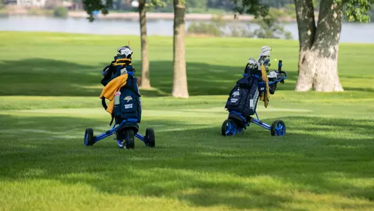 Women's golf bags stock photo