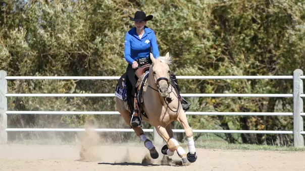Rider in a blue shirt and black cowboy hat galloping a light-colored horse in an arena.
