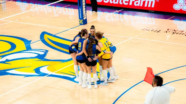 A group of players in blue uniforms gathers around after a point.