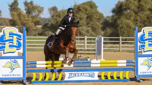 An equestrian rider clearing a blue and yellow show jump marked with "Jackrabbits".