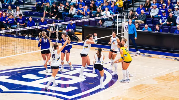 A group of players in white uniforms celebrates after a point.