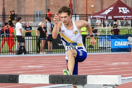 A male track athlete in a white jersey and blue shorts steps up onto the steeplechase barrier.