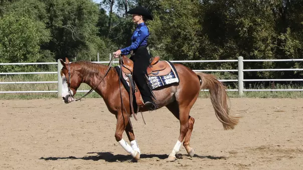 South Dakota State's Addison Saterbak competes in the horsemanship event.