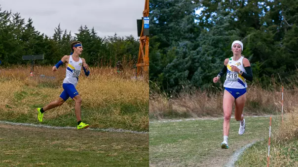 Split-image graphic featuring two South Dakota State cross country runners competing on a grass course. On the left, runner No. 290 rounds a turn bordered by tall grass, wearing a white, blue, and yellow SDSU uniform with bright yellow racing shoes. On the right, runner No. 219 runs toward the camera along the course in a matching SDSU uniform. Trees and overcast skies form the backdrop of both race photos.
