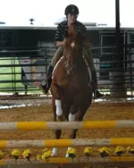 The Ladyjack equestrian team will hold its first home show on Sunday