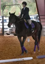 Equestrian will hold spring tryouts Jan. 14.