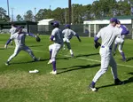 SFA falls to UALR, 8-7