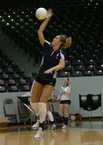 Traci Rohde
