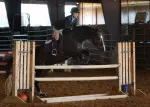 SFA equestrian transitions to a club sport beginning Fall, 2008.