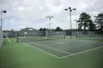 SFA will host No. 63 Maryland at the Schlief Tennis Complex tomorrow.