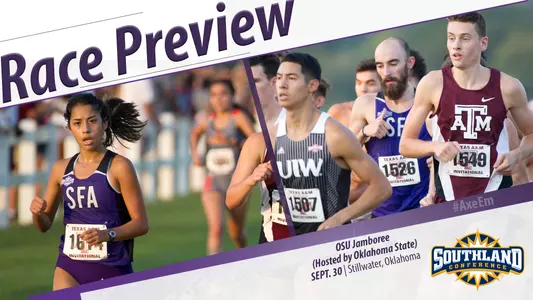 CC Preview