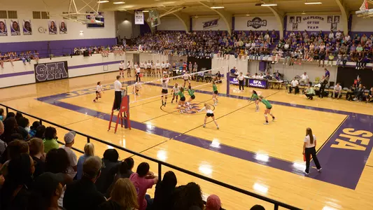 VBSheltonPacked