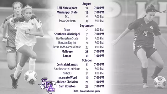 Schedule Story