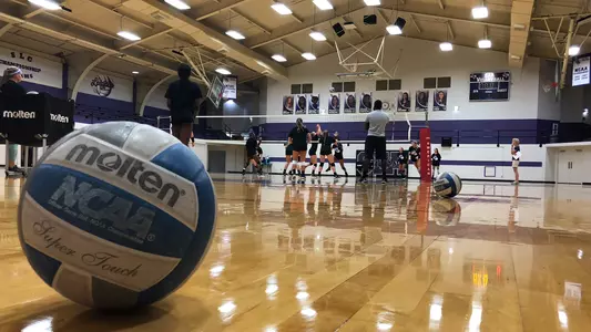 VBPreview1