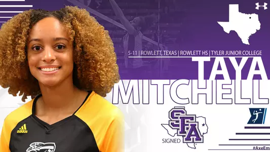 VBSignMitchell