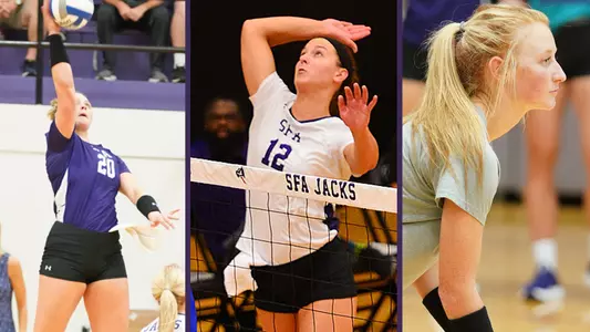 Volleyball All-Academic