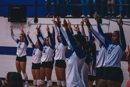 VB