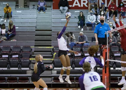 SFA Athletics