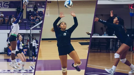 VB All-Tournament Team