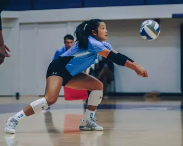 vb