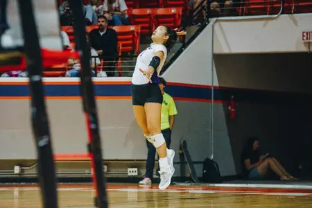 vb