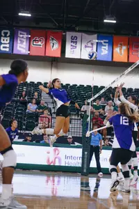 VB