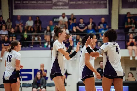 VB Lamar Preview